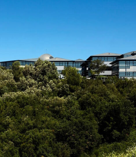 Domiciliez votre entreprise à Sophia Antipolis