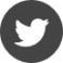 logo-twitter